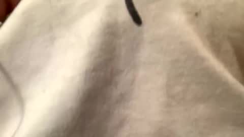 Snapshot of unknownkay chatting on November 2025 06:37:02 AM unknownkay online show from November 2025 06:37:02 AM