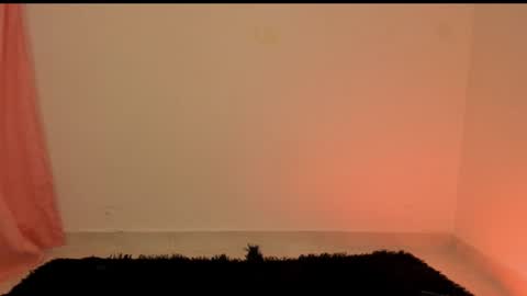 new INSTA   online show from December 2024 03:00:02 AM