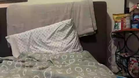 Snapshot of unverifiedbwc chatting on March 2025 08:55:01 PM Stepbro online show from March 2025 08:55:01 PM