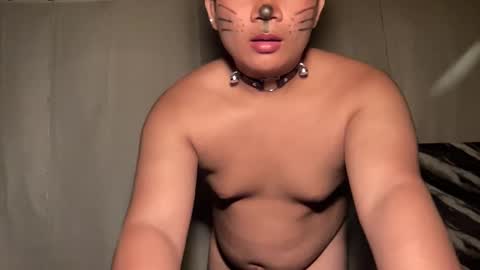 Snapshot of ur_fucking2005 chatting on April 2026 03:56:01 PM DA online show from April 2026 03:56:01 PM