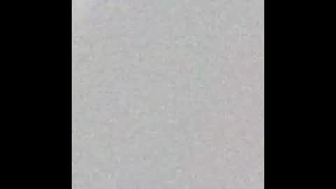 pretitit micole online show from October 2025 10:27:01 AM