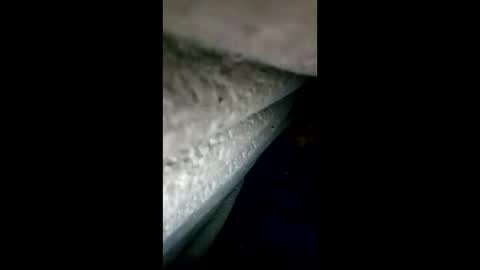 Snapshot of urdleqfaeaxf chatting on April 2026 04:12:02 PM urdleqfaeaxf online show from April 2026 04:12:02 PM