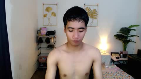 Bib online show from November 2025 04:39:02 AM