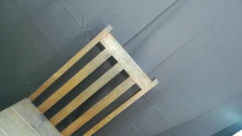 Ariana online show from December 2024 03:47:02 PM