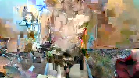 hello your sweetgirl thallea  online show from February 2025 06:04:01 AM