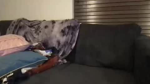 Snapshot of urwivesaffair chatting on October 2025 01:54:01 PM Urwivesaffair online show from October 2025 01:54:01 PM