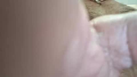 Tonight i need watchers thanks online show from March 2026 01:34:02 AM