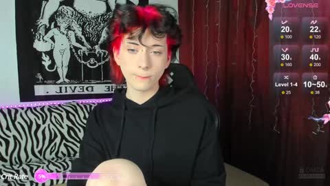 Snapshot of vailyreb chatting on December 2024 11:32:02 AM Marin online show from December 2024 11:32:02 AM