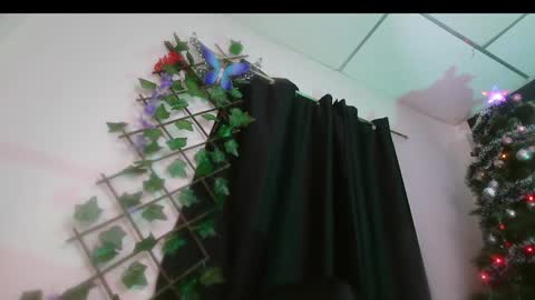 Valery online show from December 2024 08:41:02 AM