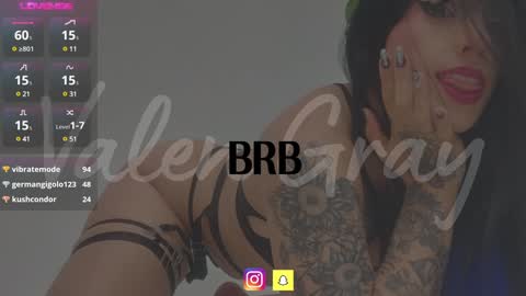 Snapshot of valengray chatting on January 2025 02:56:02 PM Valen online show from January 2025 02:56:02 PM