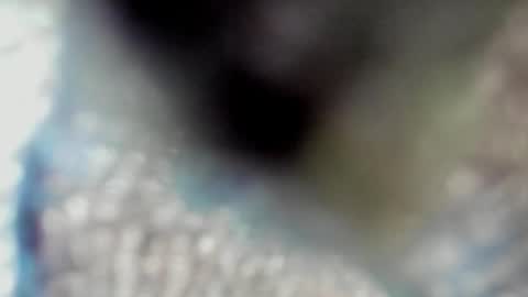 Snapshot of valeri_tafur chatting on October 2025 10:59:02 AM valeri_tafur online show from October 2025 10:59:02 AM