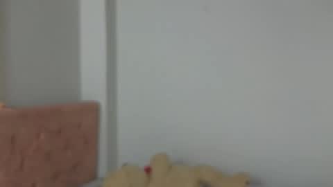 Snapshot of valery_lovex_ chatting on October 2025 02:10:01 AM valery_lovex_ online show from October 2025 02:10:01 AM