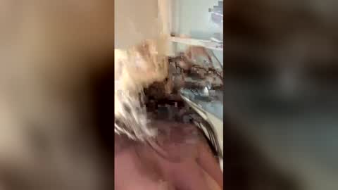 Snapshot of vanessareed_ chatting on May 2026 09:33:02 PM vanessareed_ online show from May 2026 09:33:02 PM