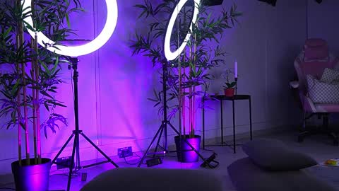 Vanessa Simon online show from January 2025 12:40:01 PM