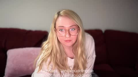 Snapshot of vanillapuddingpie chatting on December 2024 03:26:01 AM vanillapuddingpie online show from December 2024 03:26:01 AM