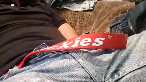 Vanyllaice online show from January 2026 02:48:02 AM