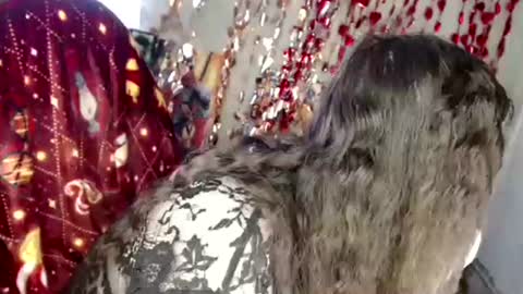 Snapshot of var_kiss chatting on April 2026 04:33:02 AM Var Kiss online show from April 2026 04:33:02 AM