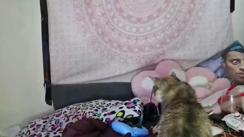 Veronica Lehane online show from December 2024 07:05:01 AM