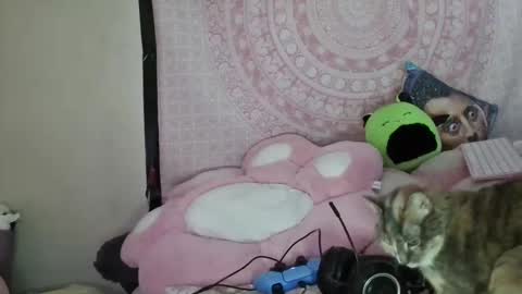 Veronica Lehane online show from January 2025 07:10:02 AM