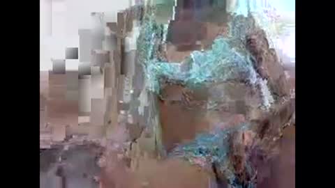 veera256 online show from December 2024 05:29:02 AM