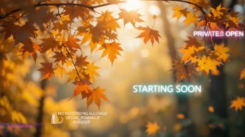 vegas_romance online show from October 2025 02:06:01 AM