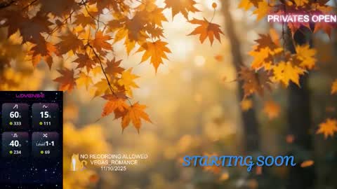 vegas_romance online show from November 2025 12:43:02 AM