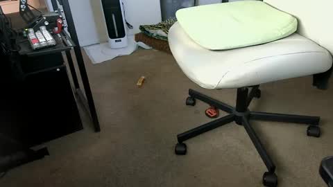 Snapshot of vegasnightowl chatting on October 2025 02:36:01 PM vegasnightowl online show from October 2025 02:36:01 PM