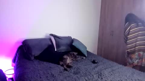 Snapshot of velmoon chatting on October 2025 06:29:02 PM velmoon online show from October 2025 06:29:02 PM