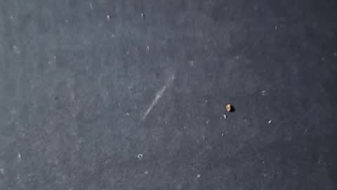 velvetsolez online show from March 2026 09:29:01 PM