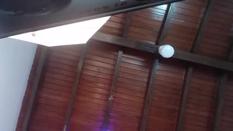 Venus Evans online show from February 2025 12:19:02 AM