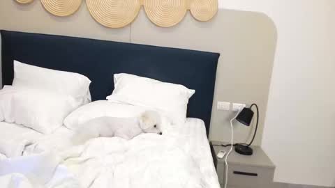 Violetta  online show from November 2025 02:32:01 AM