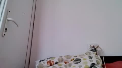 Snapshot of vera_elle chatting on March 2026 06:17:01 AM Vera online show from March 2026 06:17:01 AM