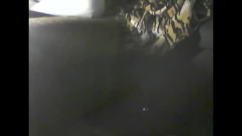 Snapshot of verdogan chatting on December 2024 02:52:01 AM Im DanielVerdo 25 years old Lets have Fun and just ask what wanne know tnew anal bigock cum slave fullnaked online show from December 2024 02:52:01 AM