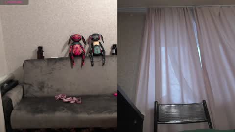 Sandra online show from January 2025 08:29:01 AM