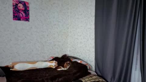 Snapshot of verocat chatting on March 2026 09:10:01 PM Veronica online show from March 2026 09:10:01 PM