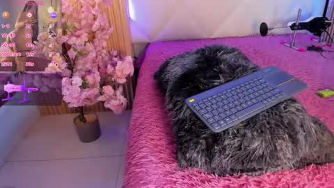 veronica_hill_ online show from June 2026 03:20:02 AM