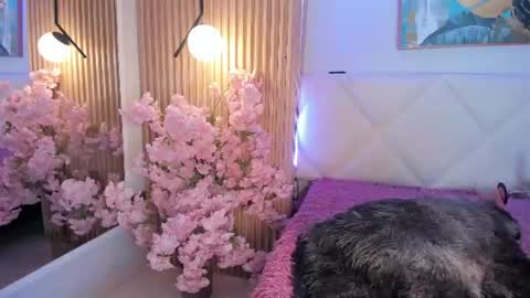 veronica_hill_ online show from July 2026 03:11:02 AM