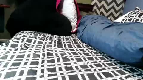 Vexnew online show from February 2026 09:38:01 PM