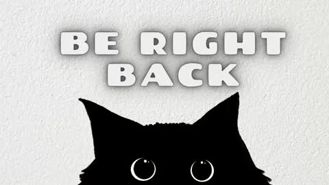 Anaya online show from February 2026 11:50:01 AM