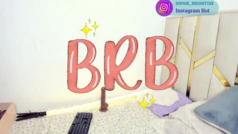 Snapshot of vicioushorse33 chatting on February 2025 03:41:02 AM Sophie and Stan online show from February 2025 03:41:02 AM