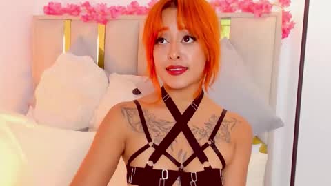 Snapshot of vicioushorse33 chatting on October 2025 11:01:02 PM Sophie and Stan online show from October 2025 11:01:02 PM