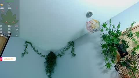 Victoria   online show from January 2025 11:22:01 PM