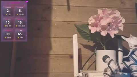 vickyvalencia2 online show from July 2026 03:13:01 AM