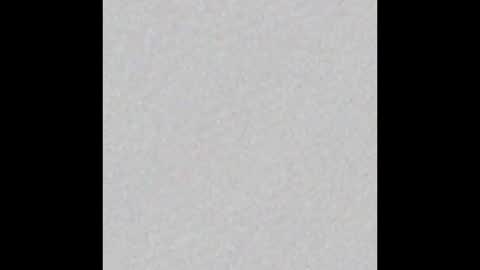 Victoria Collins online show from January 2026 12:00:01 PM