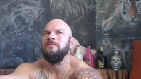 viking online show from October 2025 07:49:02 AM