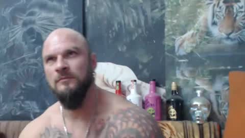 viking online show from November 2025 08:20:02 PM