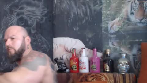 viking online show from November 2025 08:26:02 AM