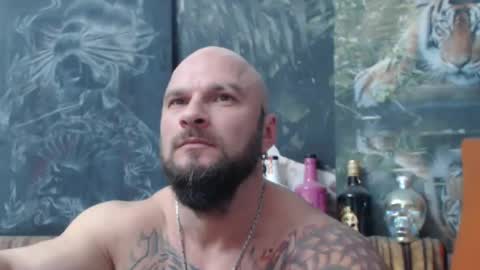 viking online show from November 2025 07:56:02 PM