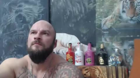 viking online show from December 2025 07:44:01 PM