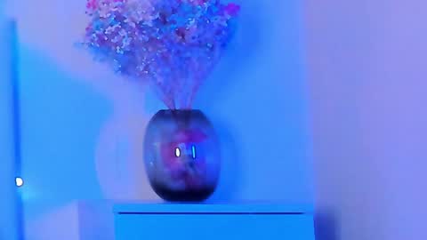 VIKKI online show from January 2025 07:11:01 PM